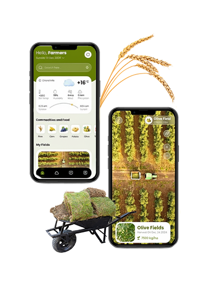Farming Product App Interface